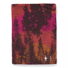 Load image into Gallery viewer, Tube Réversible Merino 250 de Smartwool